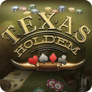 TEXAS HOLDEM POKER