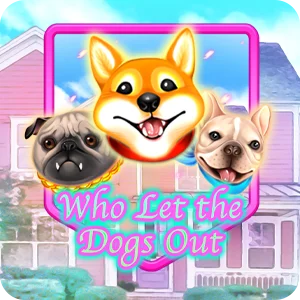 WHO LET THE DOGS OUT