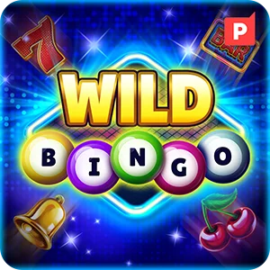 WILD BINGO