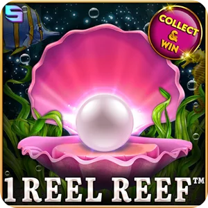 1 REEL REEF
