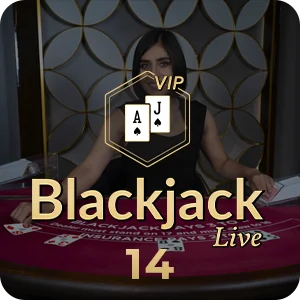 BLACKJACK VIP 14