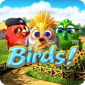 BIRDS!