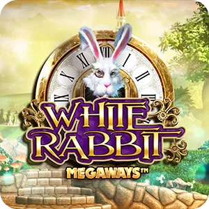 WHITE RABBIT