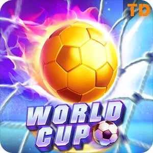WORLD CUP