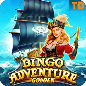 BINGO ADVENTURE